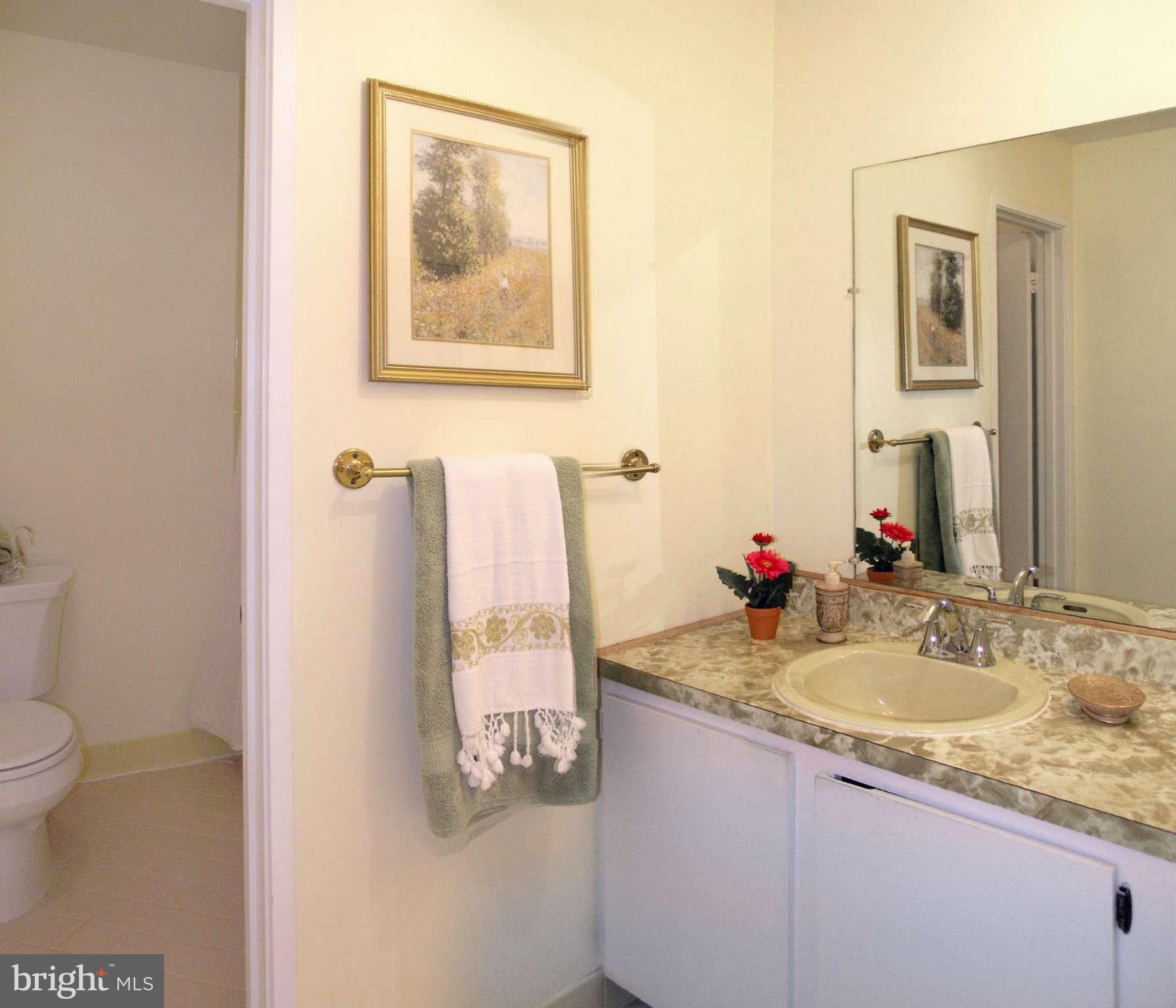 11631 Hunters Green Court Reston, VA 20191 - Photo 22 of 26 Bath Upper Hall