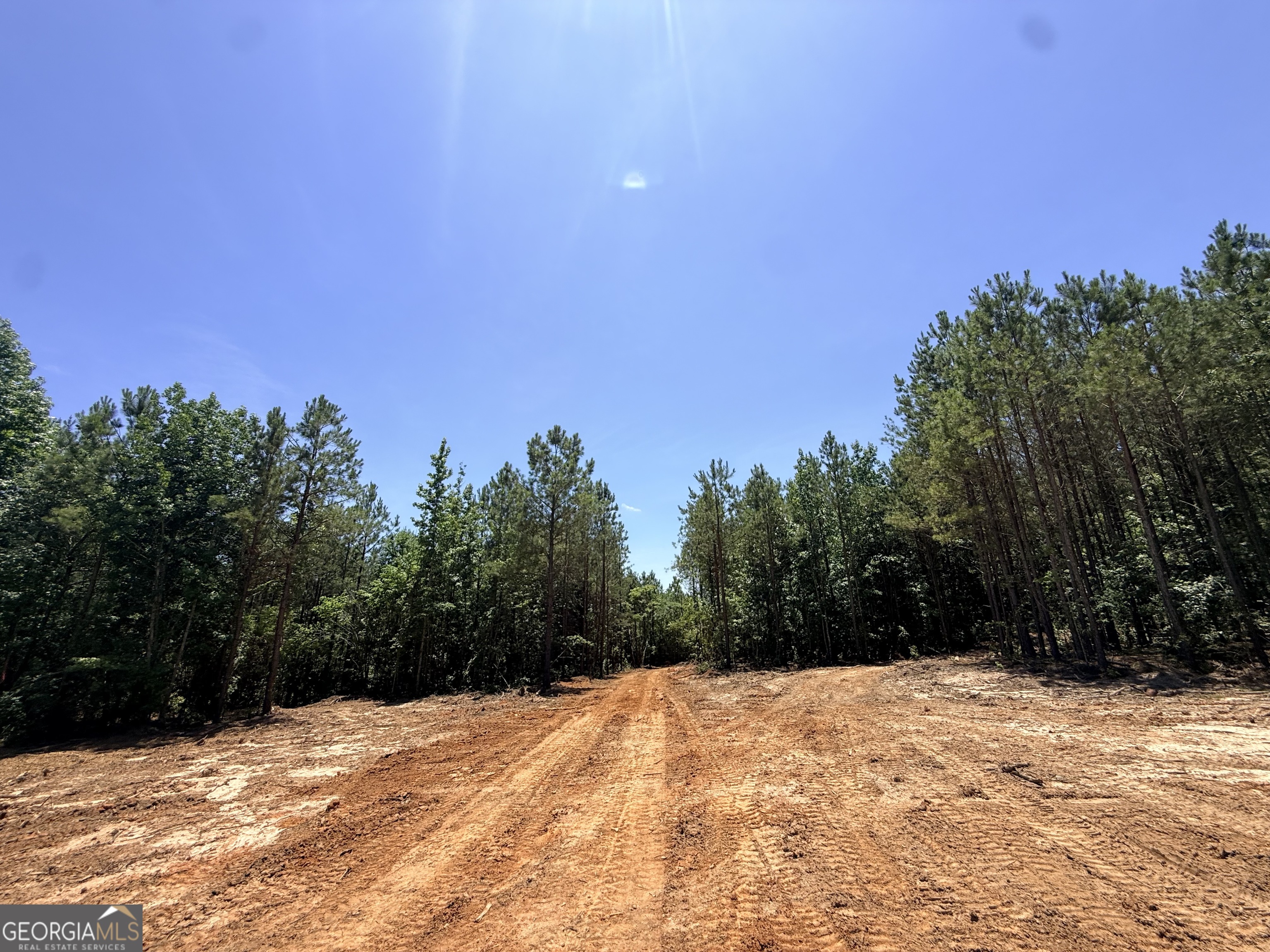 2807 Cedar Creek Road Elberton, GA 30635 - Photo 18 of 109