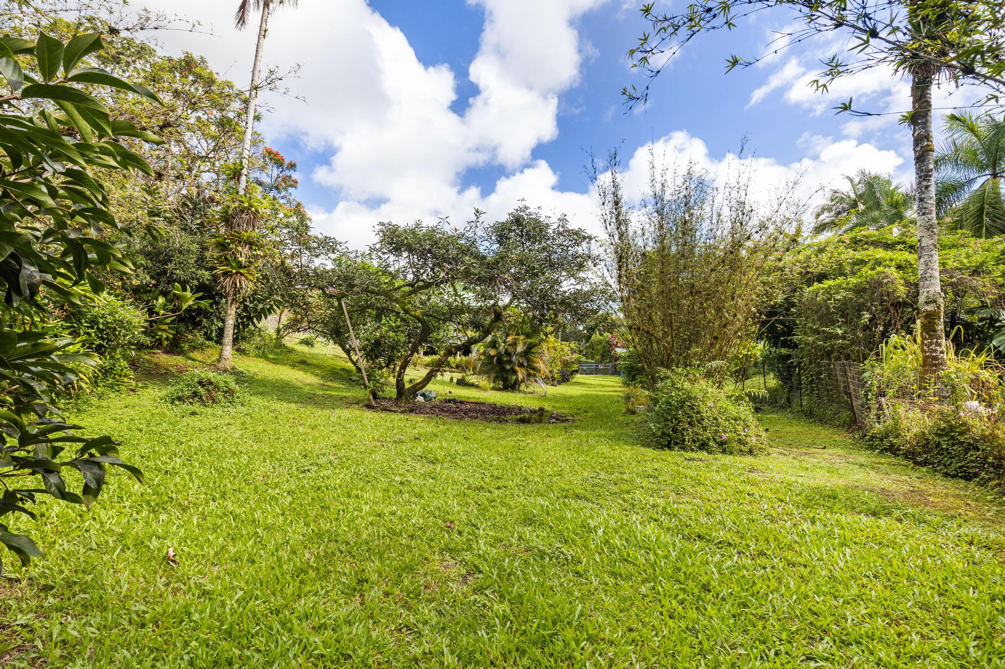 120 Opio Road Hilo, HI 96720 - Photo 28 of 30 a view of a yard with swimming pool