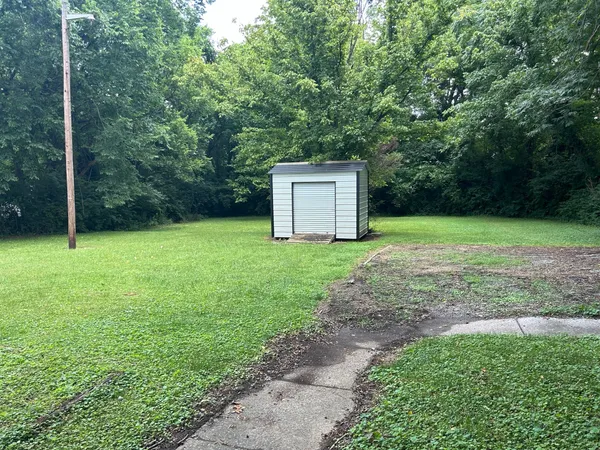 a view of a backyard with large trees