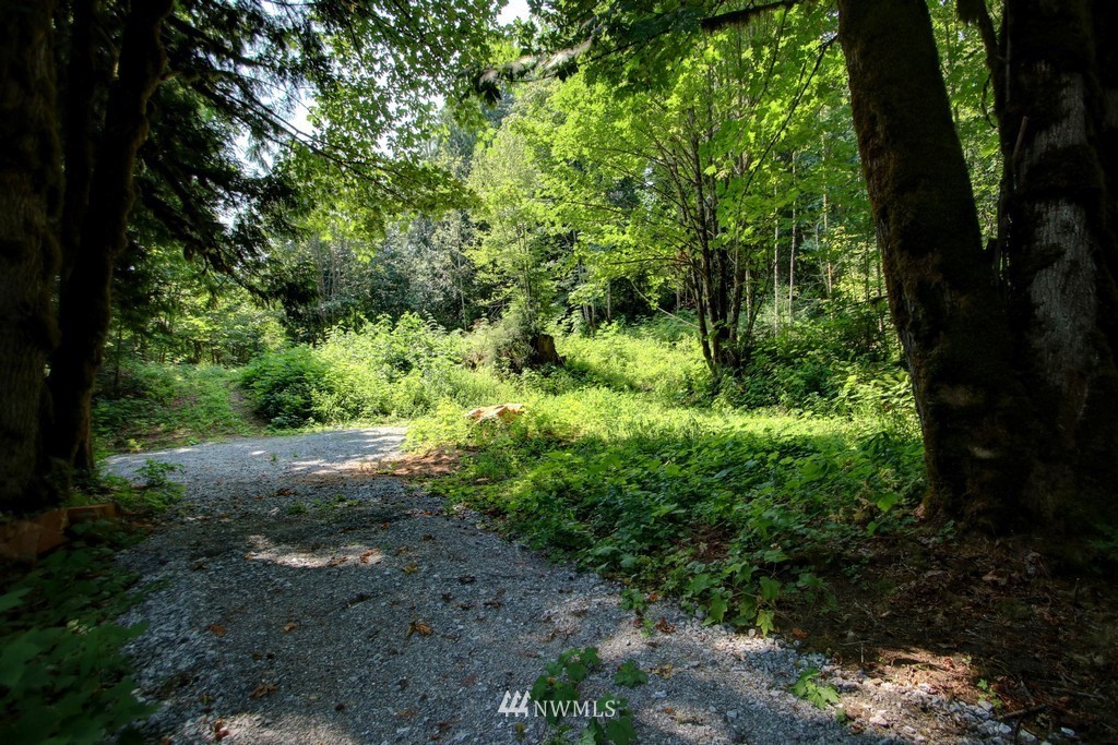 8553 Silver Lake Road Maple Falls, WA 98266 - Photo 1 of 25