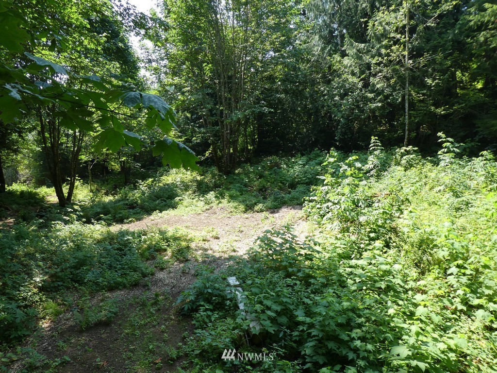 8553 Silver Lake Road Maple Falls, WA 98266 - Photo 20 of 25