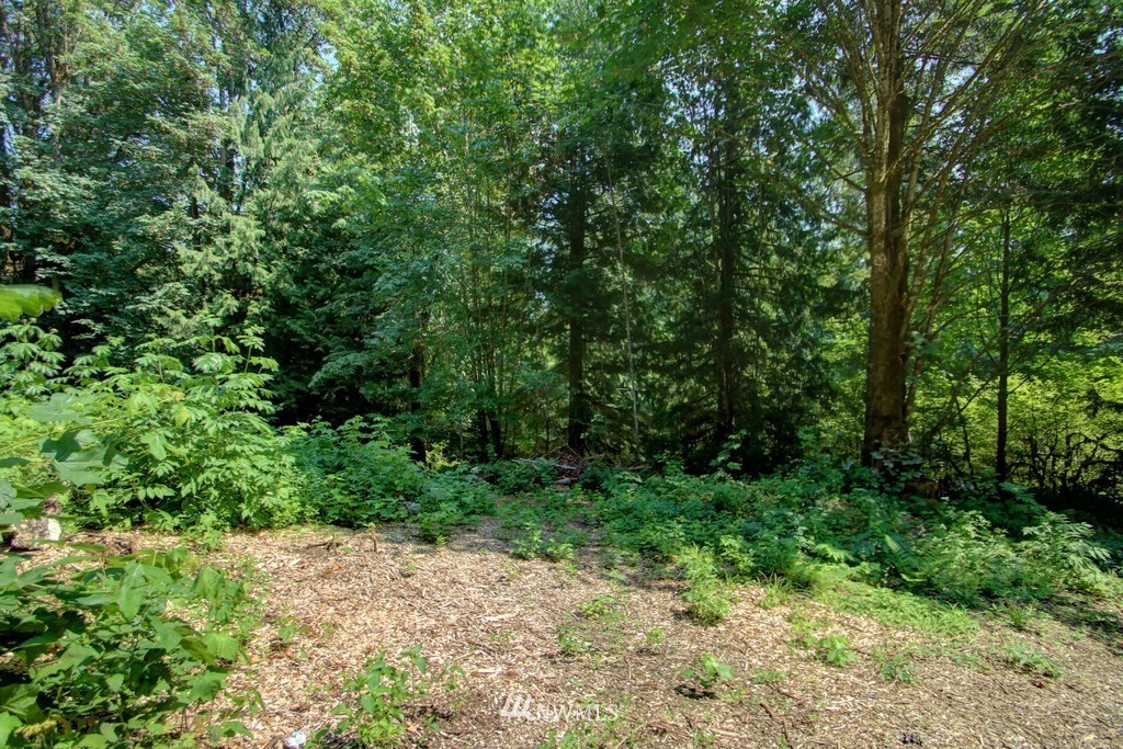 8553 Silver Lake Road Maple Falls, WA 98266 - Photo 21 of 25