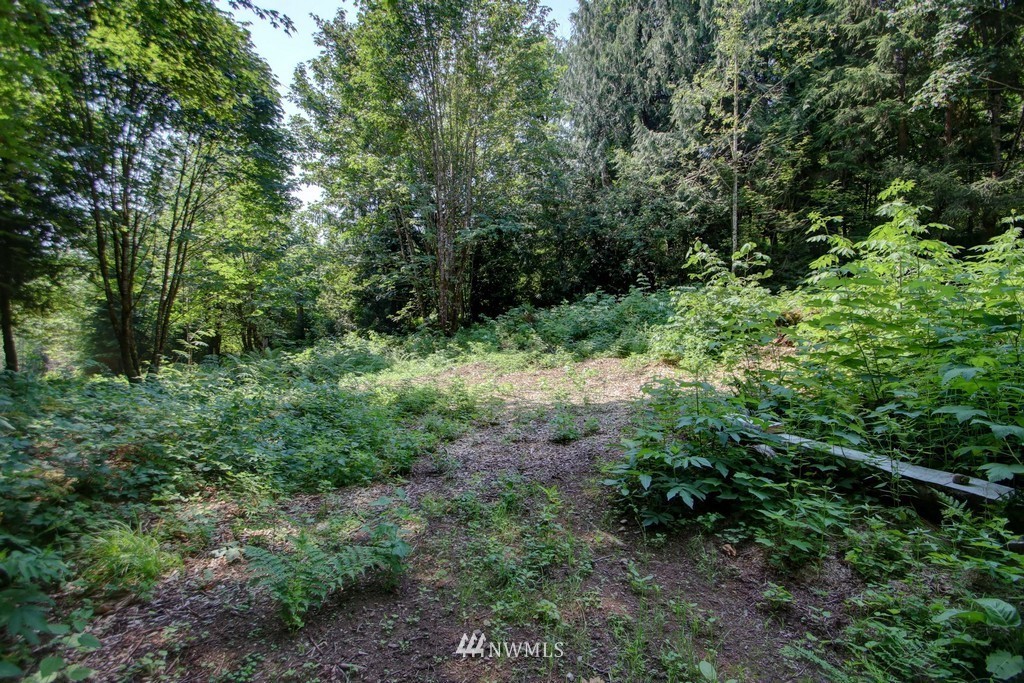 8553 Silver Lake Road Maple Falls, WA 98266 - Photo 24 of 25