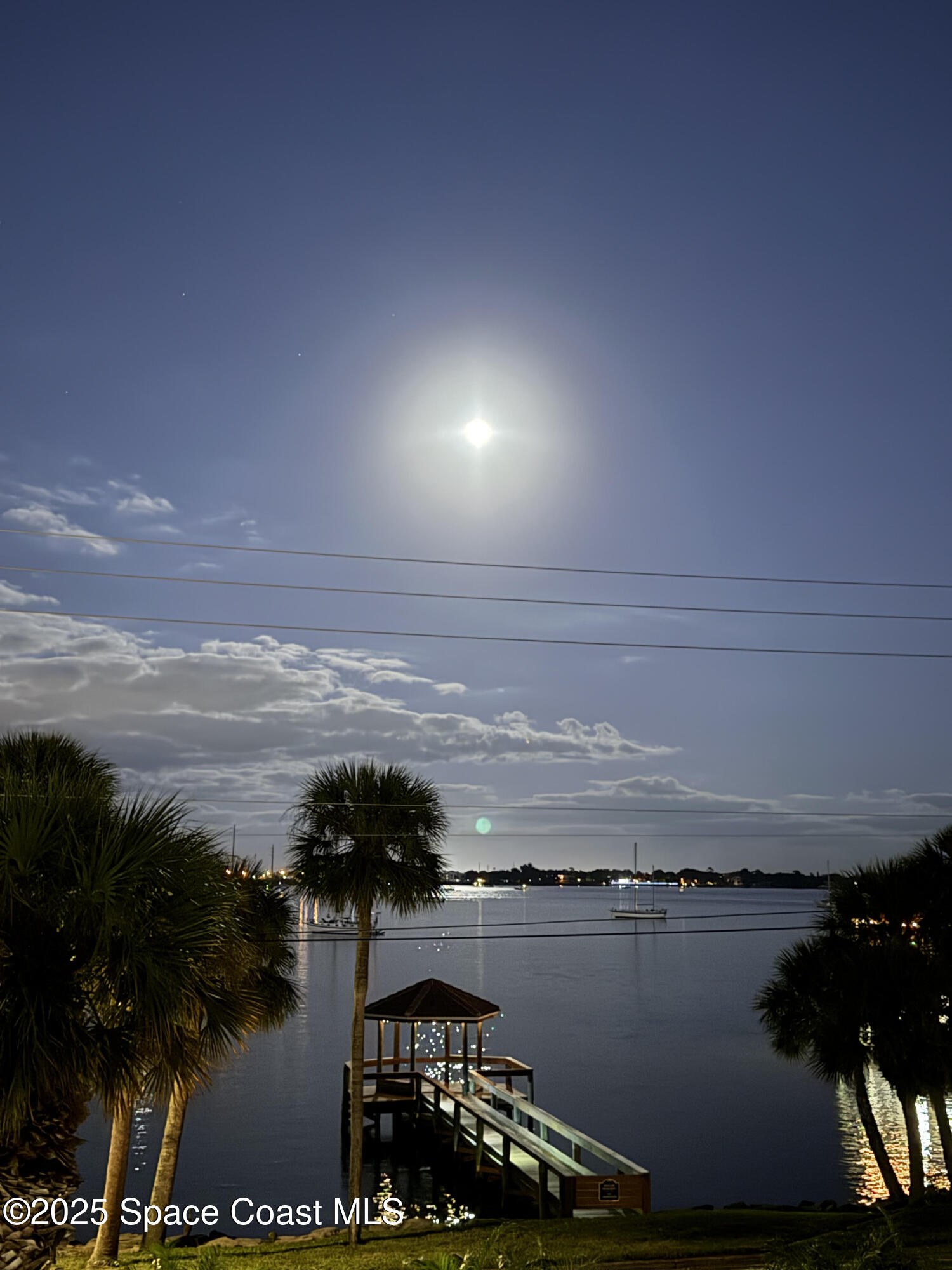 a view of a ocean with large trees