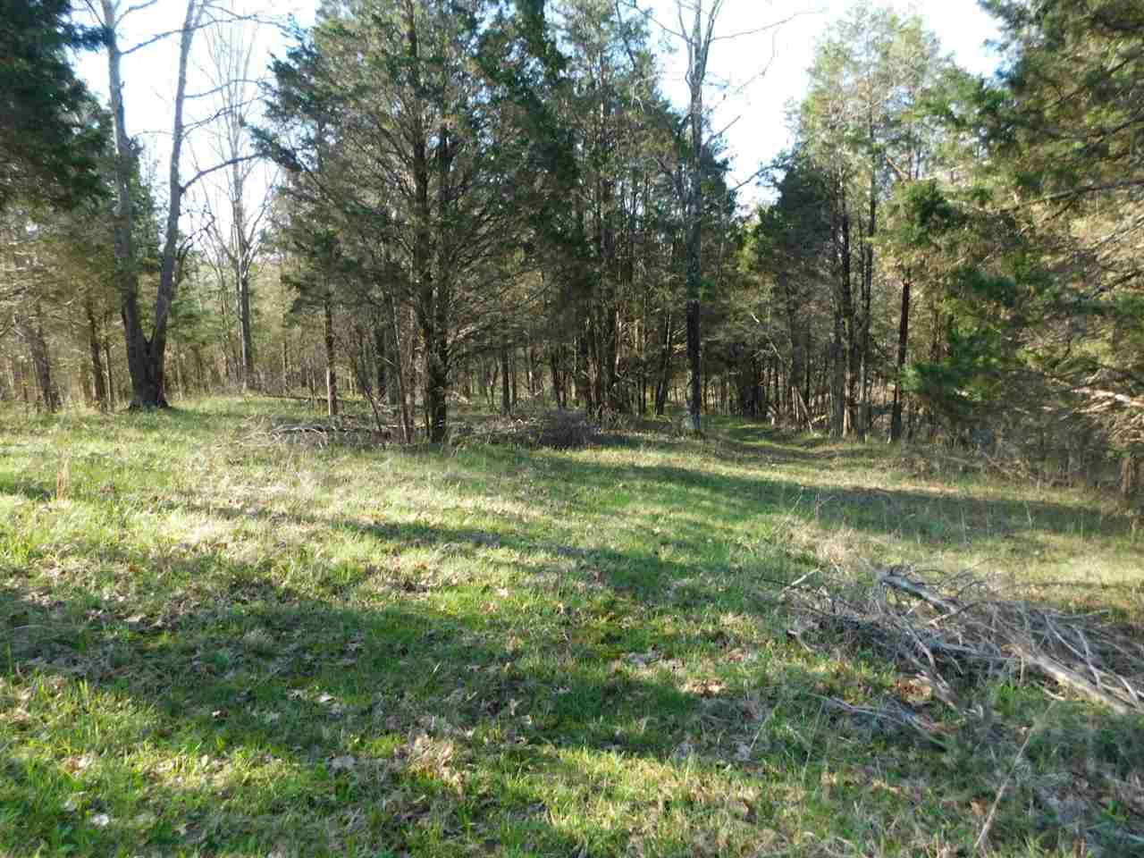 355 Doe Run Road Corinth, KY 41010 - Photo 18 of 30