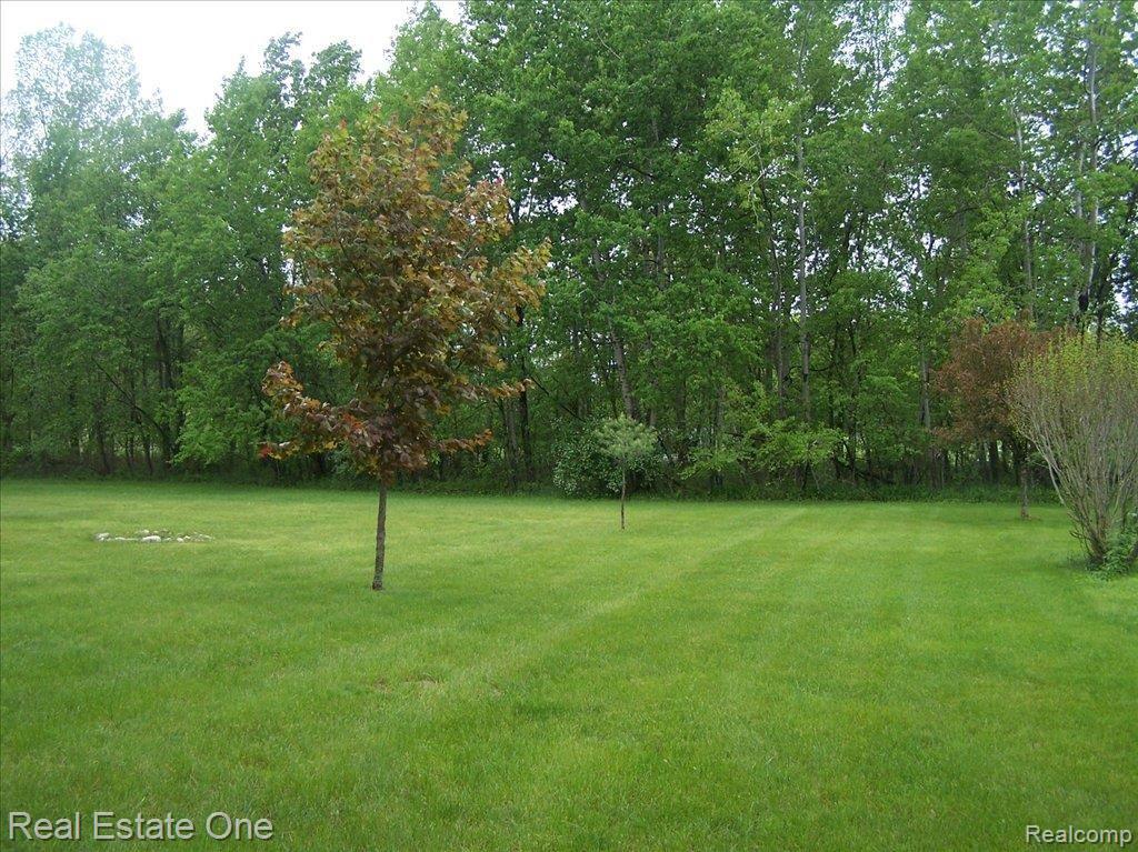 3455 Perry Lake Road Ortonville, MI 48462 - Photo 22 of 25 Backyard
