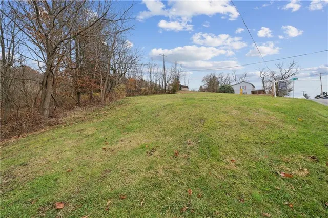 a view of a field with large trees