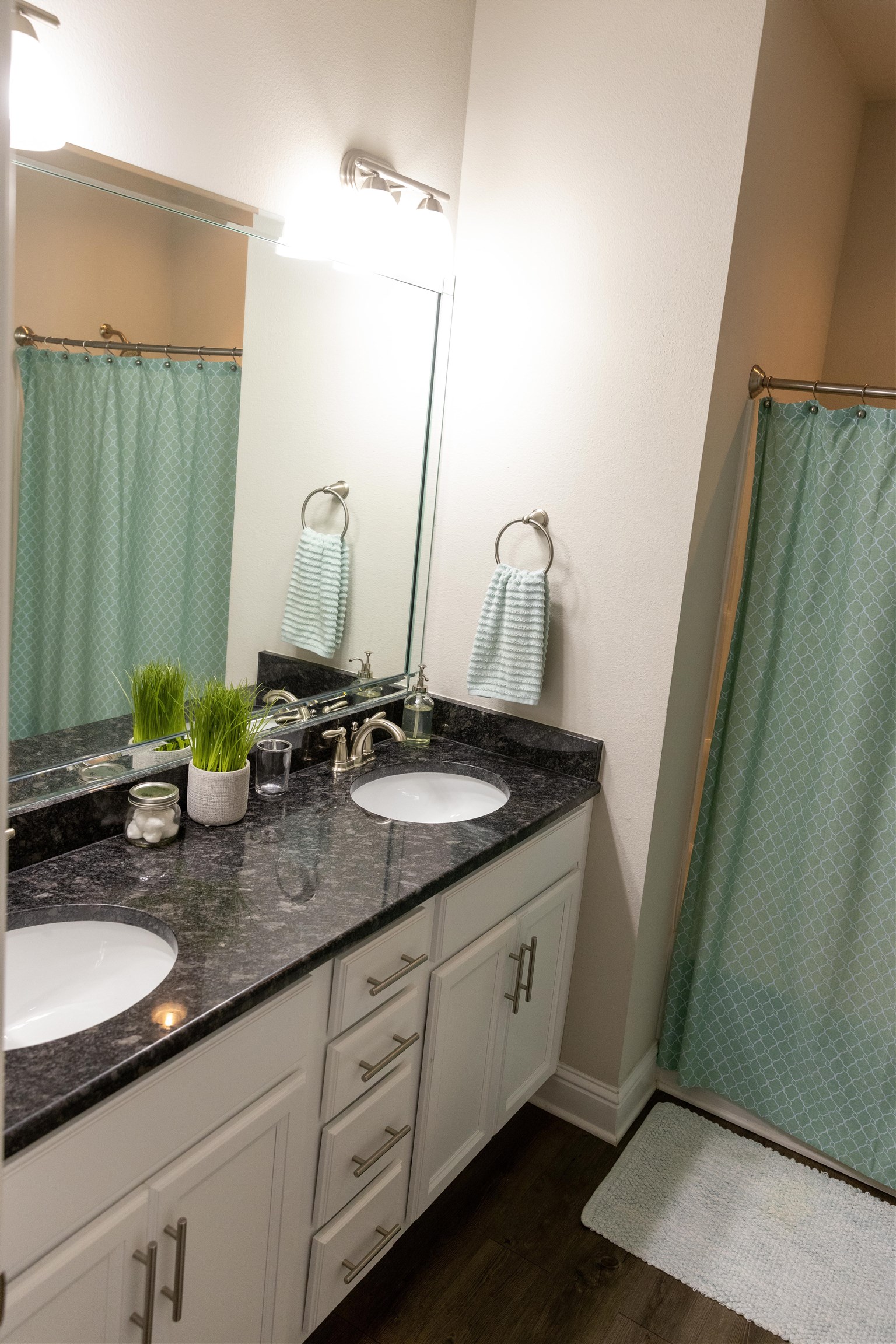 19116 Tralee Court Foley, AL 36535 - Photo 13 of 50
