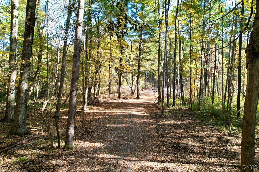 0 West Lake Road De Ruyter, NY 13052 - Photo 2 of 15