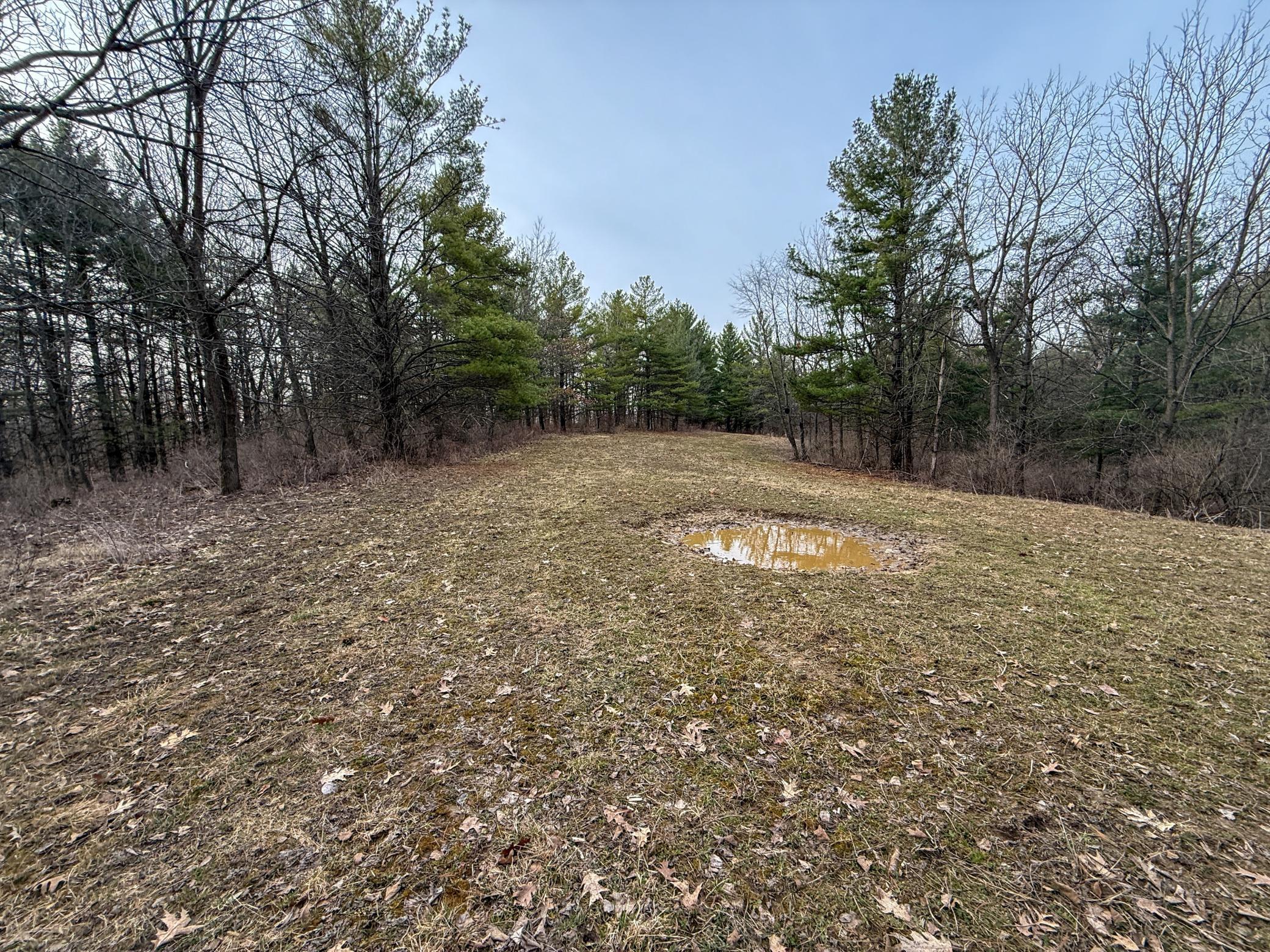 11719 Ridgeview Road Hokah, MN 55941 - Photo 80 of 90