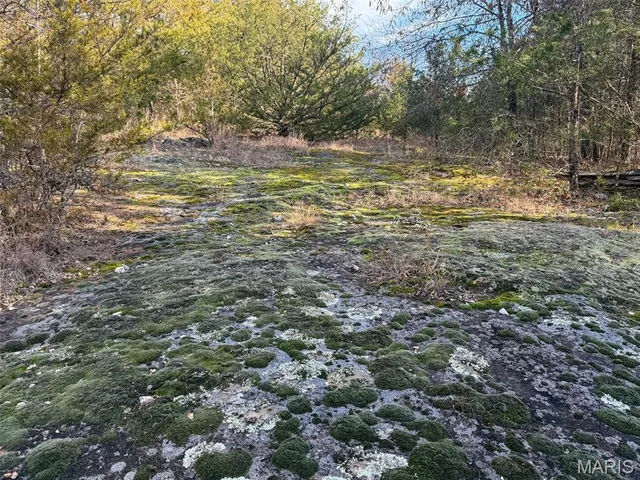 $99,900 | 8420 County Road 8420, Rolla, MO 65401