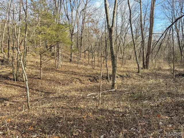 $99,900 | 8420 County Road 8420, Rolla, MO 65401