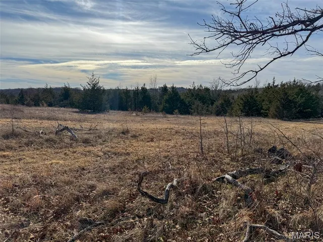 $99,900 | 8420 County Road 8420, Rolla, MO 65401