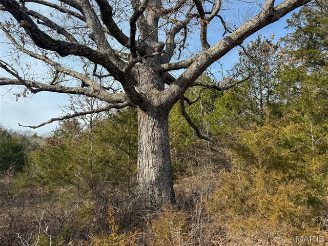 $99,900 | 8420 County Road 8420, Rolla, MO 65401