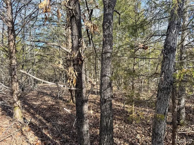 $99,900 | 8420 County Road 8420, Rolla, MO 65401