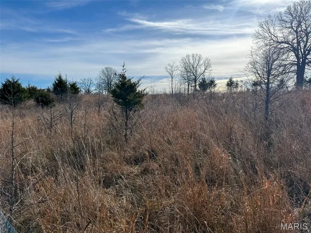 $99,900 | 8420 County Road 8420, Rolla, MO 65401