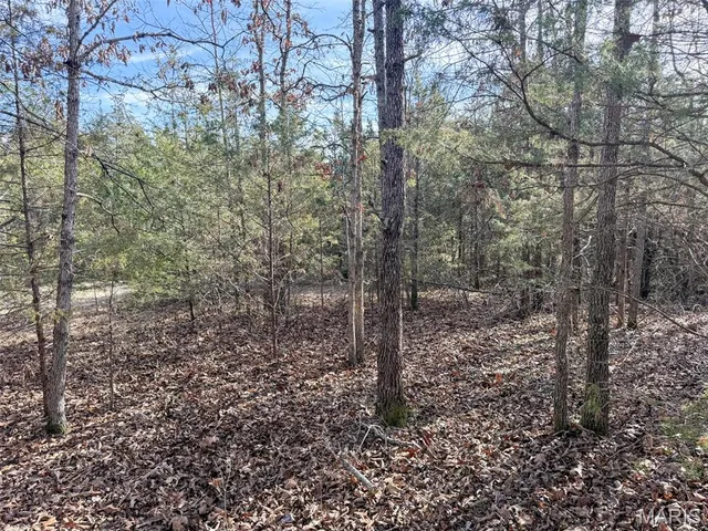 $99,900 | 8420 County Road 8420, Rolla, MO 65401