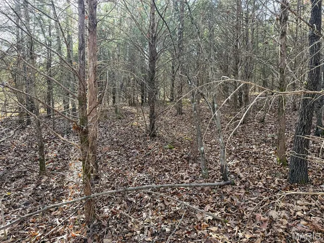 $99,900 | 8420 County Road 8420, Rolla, MO 65401