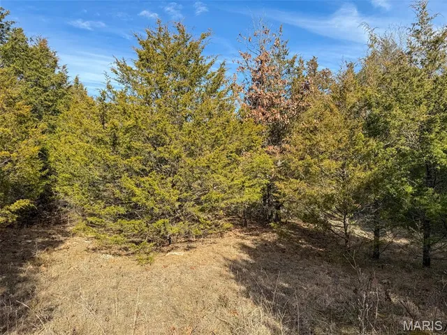 $99,900 | 8420 County Road 8420, Rolla, MO 65401