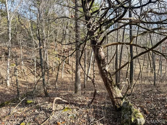 $99,900 | 8420 County Road 8420, Rolla, MO 65401