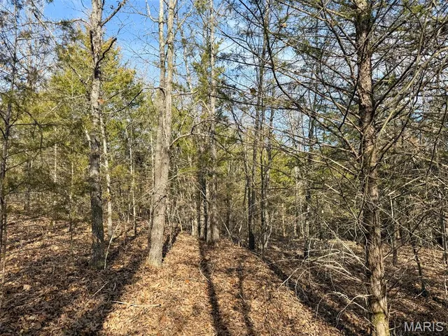 $99,900 | 8420 County Road 8420, Rolla, MO 65401