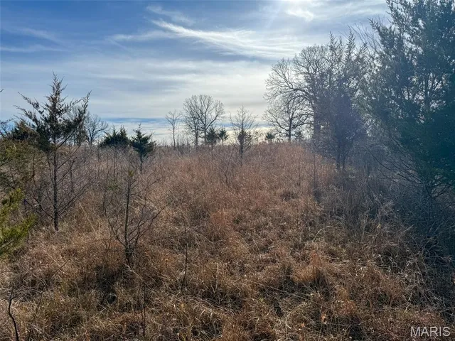 $99,900 | 8420 County Road 8420, Rolla, MO 65401