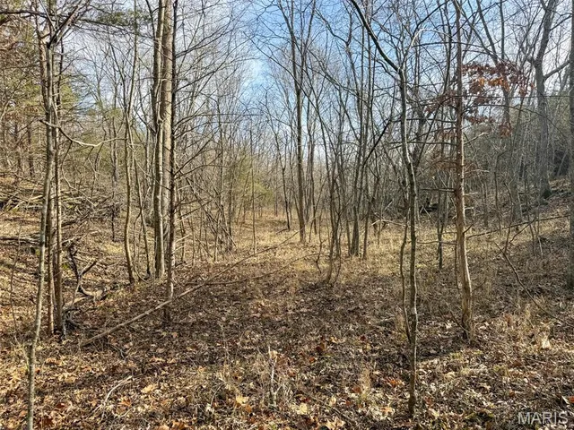 $99,900 | 8420 County Road 8420, Rolla, MO 65401