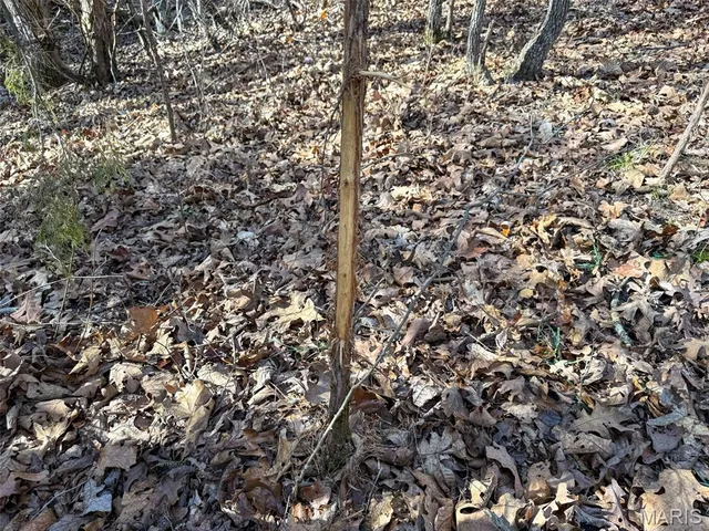 $99,900 | 8420 County Road 8420, Rolla, MO 65401