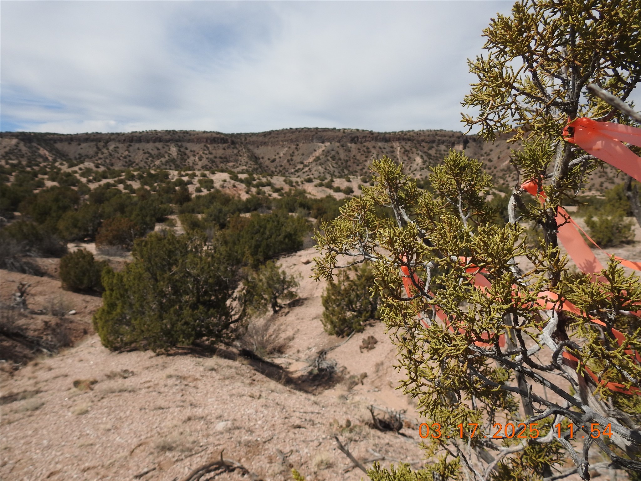 0 Wildass Road Santa Fe, NM 87506 - Photo 18 of 26 NE Corner