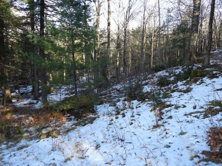 608 Washington Drive Washington, NH 03280 - Photo 6 of 29