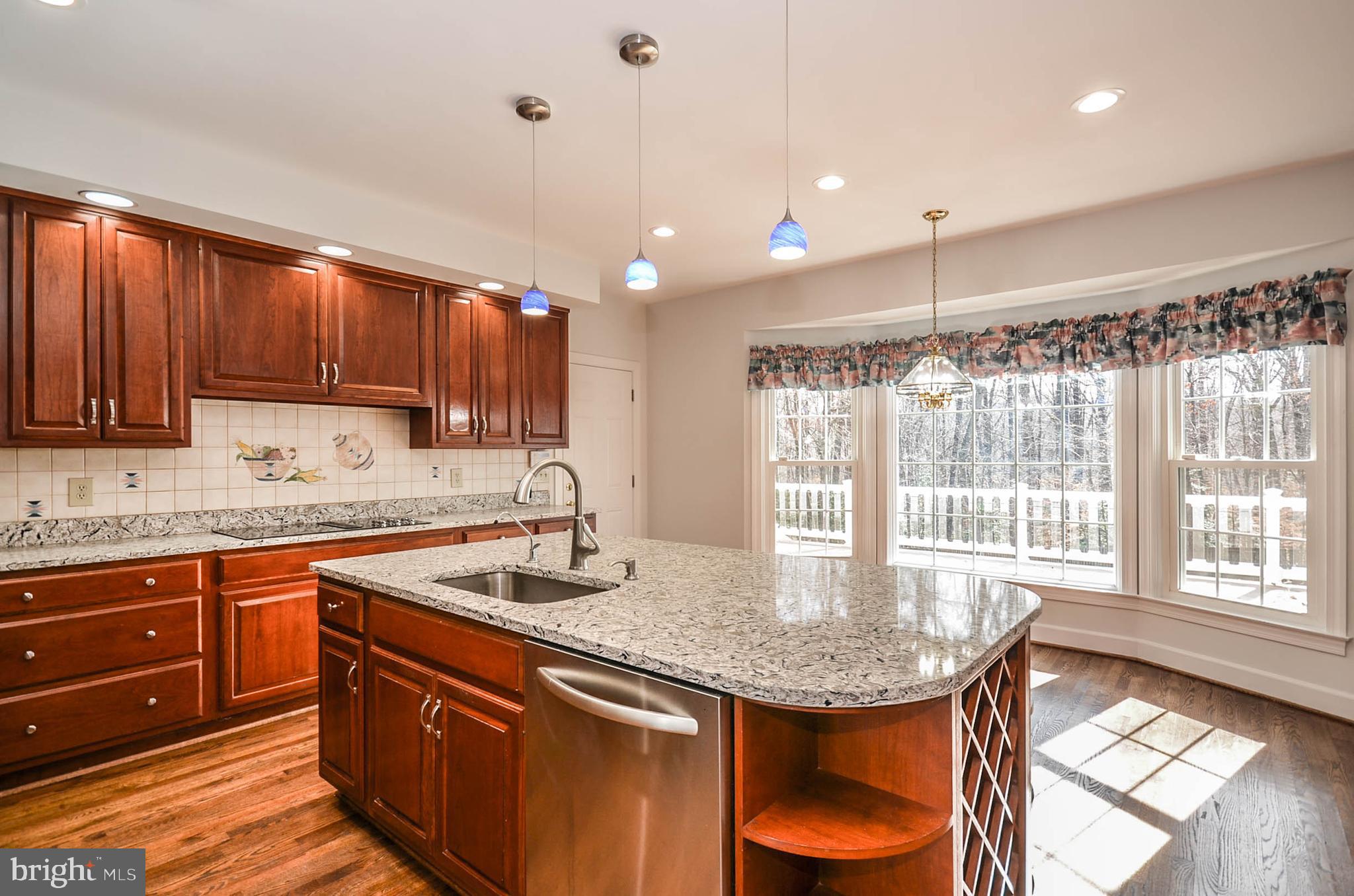 12009 Wetherfield Lane Potomac, MD 20854 - Photo 7 of 46 Lots of light!