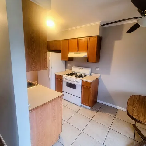 $1,600 | 1089 Dickens Way, Unit E, Schaumburg, IL 60193