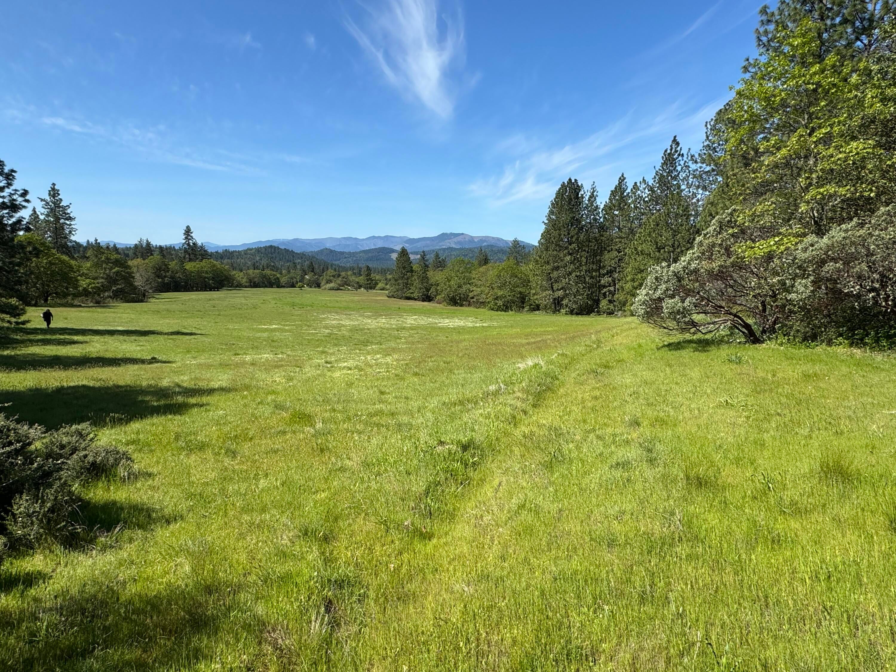 6798 Hugo Road Grants Pass, OR 97526 - Photo 25 of 38 Old irrigation ditch from pond