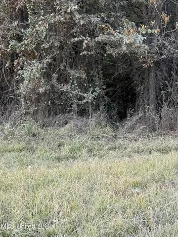 $318,000 | West County Line Road, Ridgeland, MS 39157