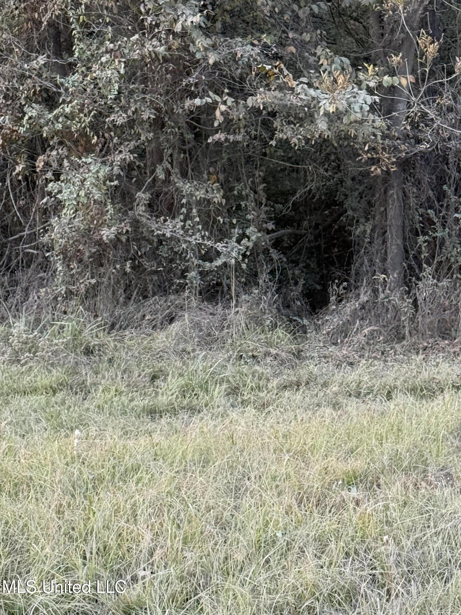 West County Line Road Ridgeland, MS 39157 - Photo 4 of 4 IMG_6815