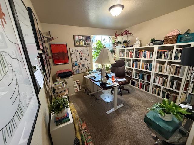 2924 Merle Avenue Modesto, CA 95355 - Photo 28 of 41