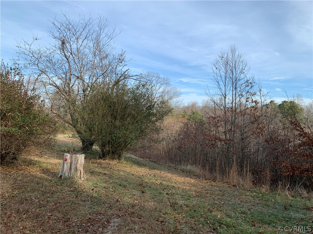 14387 Devils Three Jump Road Milford, VA 22514 - Photo 2 of 4 Gallery Image 2