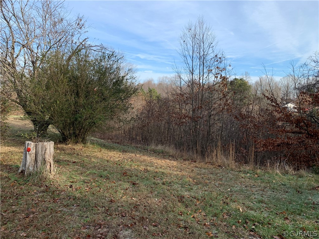 14387 Devils Three Jump Road Milford, VA 22514 - Photo 4 of 4 Gallery Image 4