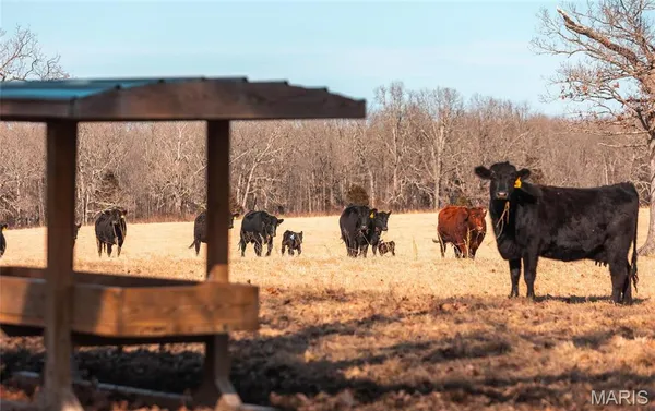 $2,350,000 | 31501 Seminole Lane, Richland, MO 65556