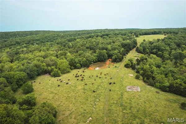 $2,350,000 | 31501 Seminole Lane, Richland, MO 65556