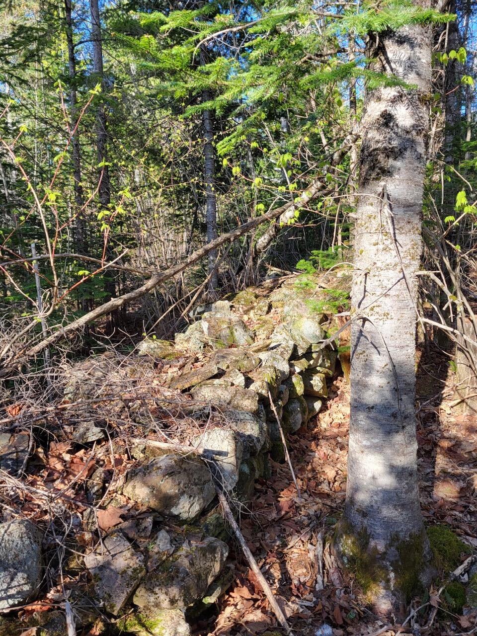 Lot 6 South Oakfield Road Oakfield, ME 04763 - Photo 12 of 23 Resized_20230509_173841_1705367939783