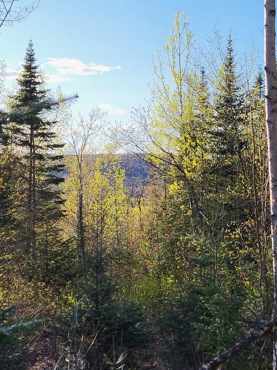 Lot 6 South Oakfield Road Oakfield, ME 04763 - Photo 14 of 23 Resized_20230509_181540_1705367225490