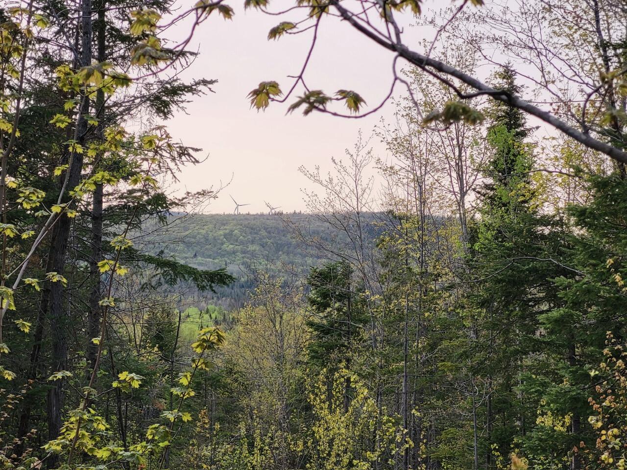 Lot 6 South Oakfield Road Oakfield, ME 04763 - Photo 15 of 23 Resized_20230511_181828_1705366942174