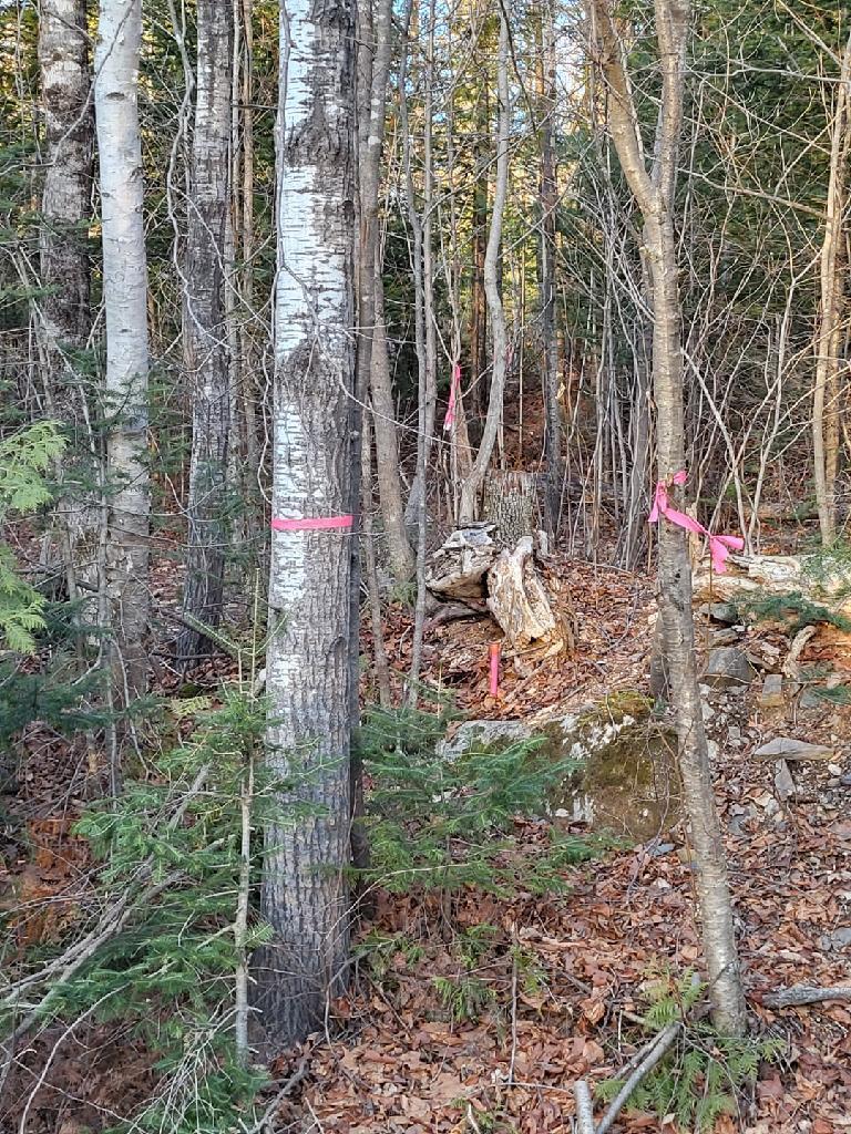 Lot 6 South Oakfield Road Oakfield, ME 04763 - Photo 19 of 23 Resized952023122395150407951705365499815