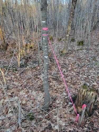 Lot 6 South Oakfield Road Oakfield, ME 04763 - Photo 20 of 23 Resized952023122395150122951705365500474