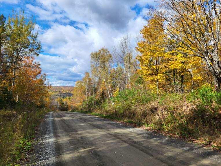 Lot 6 South Oakfield Road Oakfield, ME 04763 - Photo 21 of 23 Resized952023101895130933951705366097034