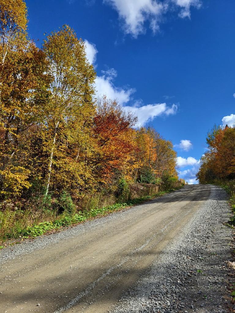 Lot 6 South Oakfield Road Oakfield, ME 04763 - Photo 22 of 23 Resized952023101895131048951705366096403