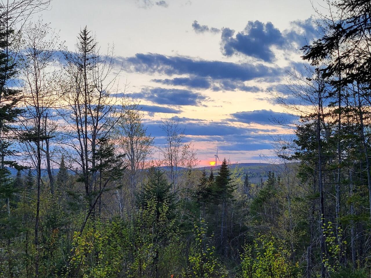 Lot 6 South Oakfield Road Oakfield, ME 04763 - Photo 4 of 23 Resized_20230510_193723_1705367113058