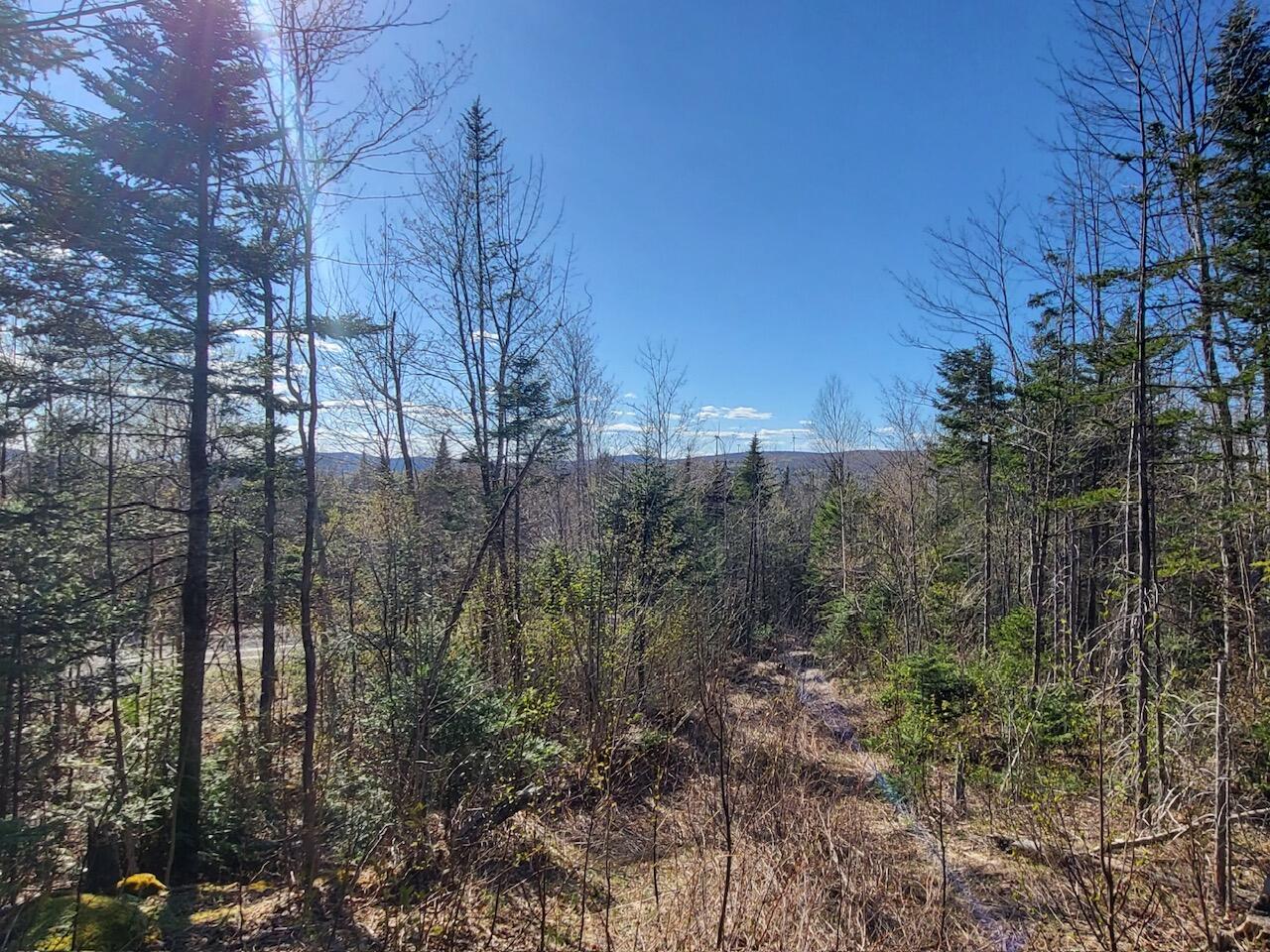 Lot 6 South Oakfield Road Oakfield, ME 04763 - Photo 5 of 23 Resized_20230506_163001_1705368086911